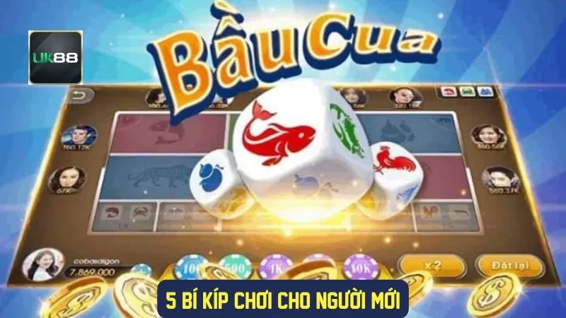 5 bí kíp chơi cho người mới