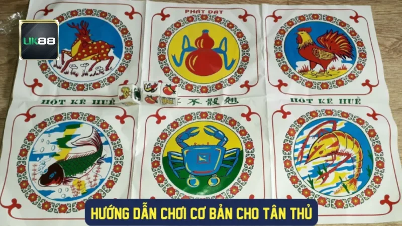Hướng dẫn chơi cơ bản cho tân thủ