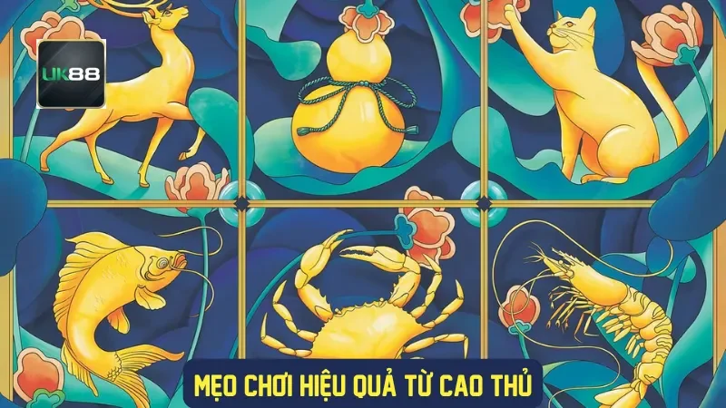 Mẹo chơi hiệu quả từ cao thủ