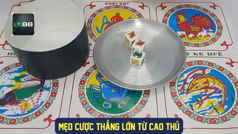 Mẹo cược thắng lớn từ cao thủ