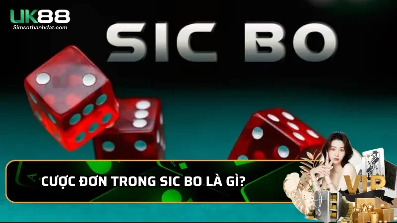 Cược Đơn trong Sic Bo là gì? Cách chơi với chiến thuật hiệu quả 1 Cược Đơn trong Sic Bo là gì? Đây là một hình thức cược đơn giản