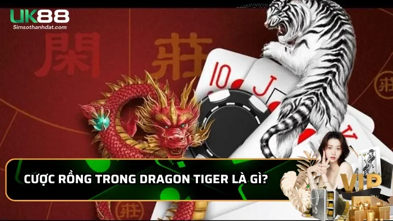 Cược Rồng trong Dragon Tiger là gì? Phân Tích Từ Chuyên Gia 1 Cược Rồng trong Dragon Tiger là gì?