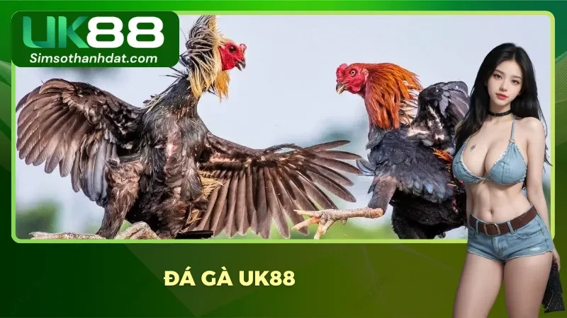 Uk88 Wimoto.io – Nhà Cái Uk88 Uy Tín - An Toàn Bậc Nhất Việt Nam 2025 35 Cá cược đá gà online Campuchia ngay tại hệ thống